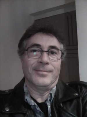 Profil de Flaubert